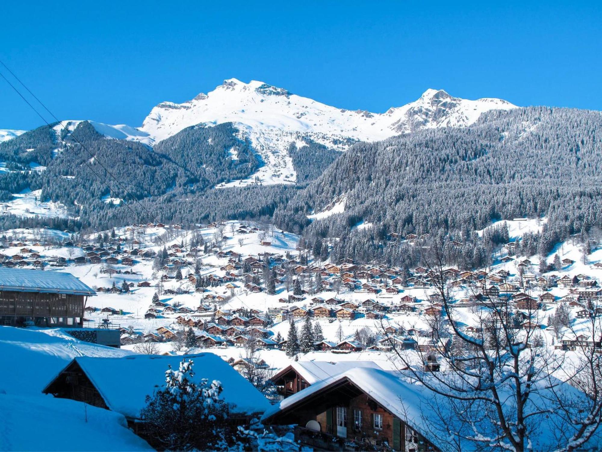 Apartment Chalet Auf Dem Vogelstein-2 By Interhome Grindelwald Eksteriør billede
