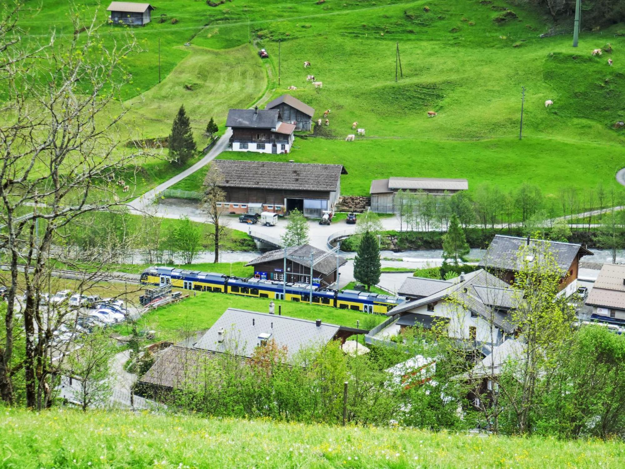 Apartment Chalet Auf Dem Vogelstein-2 By Interhome Grindelwald Eksteriør billede
